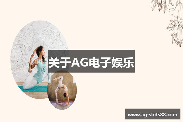 关于AG电子娱乐